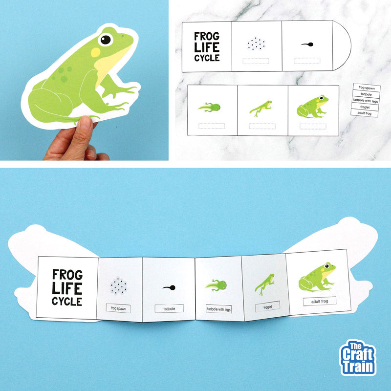 Frog Life Cycle Booklet