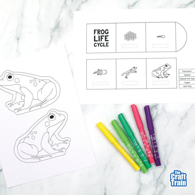 Frog Life Cycle Booklet