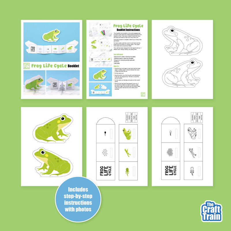 Frog Life Cycle Booklet