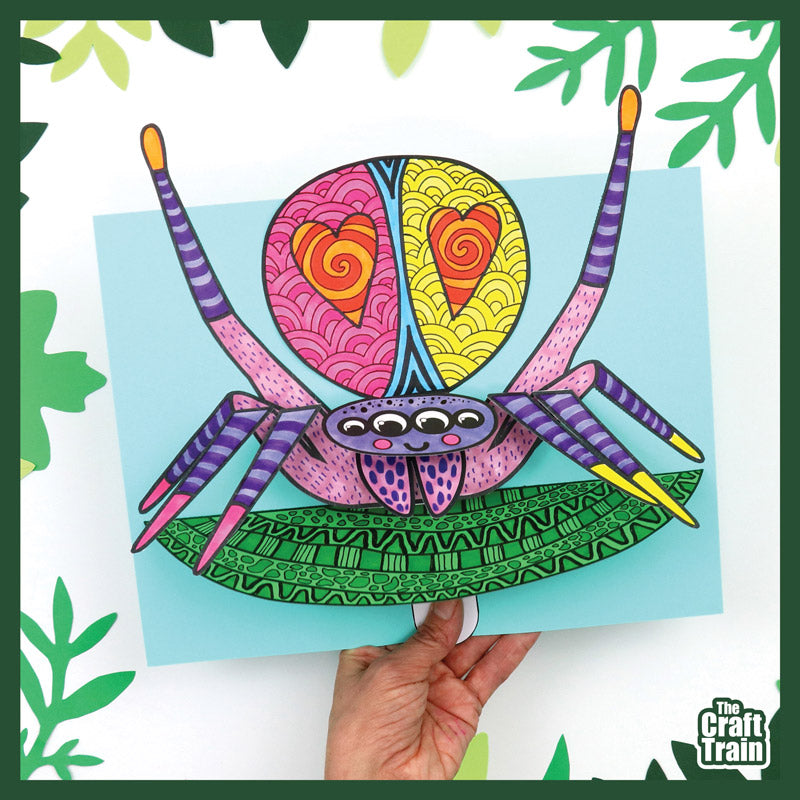Dancing Peacock Spider
