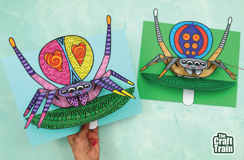 Dancing Peacock Spider