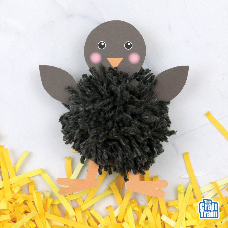 Pom Pom Chick