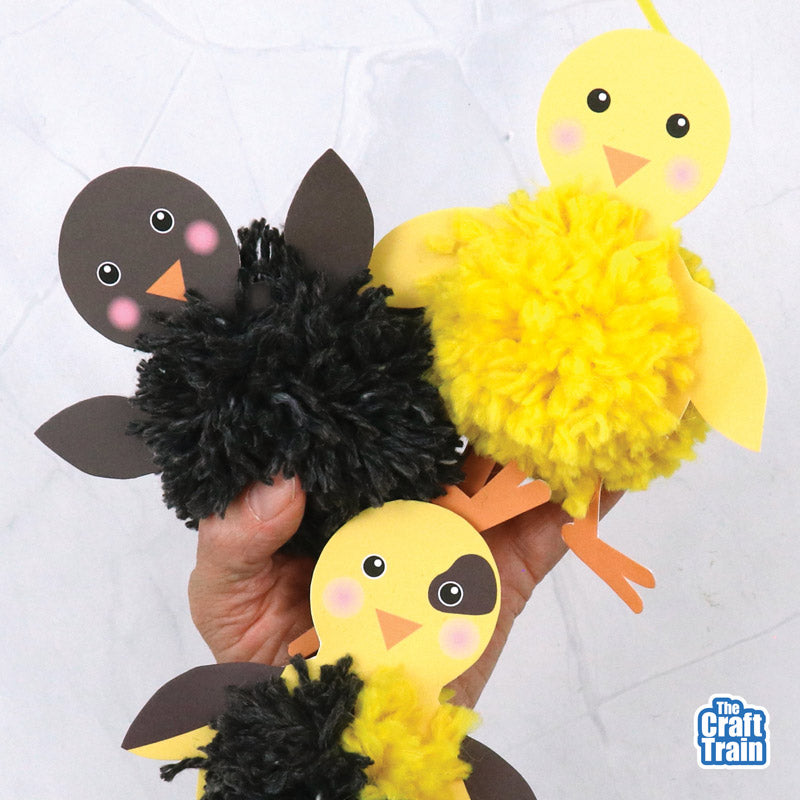 Pom Pom Chick