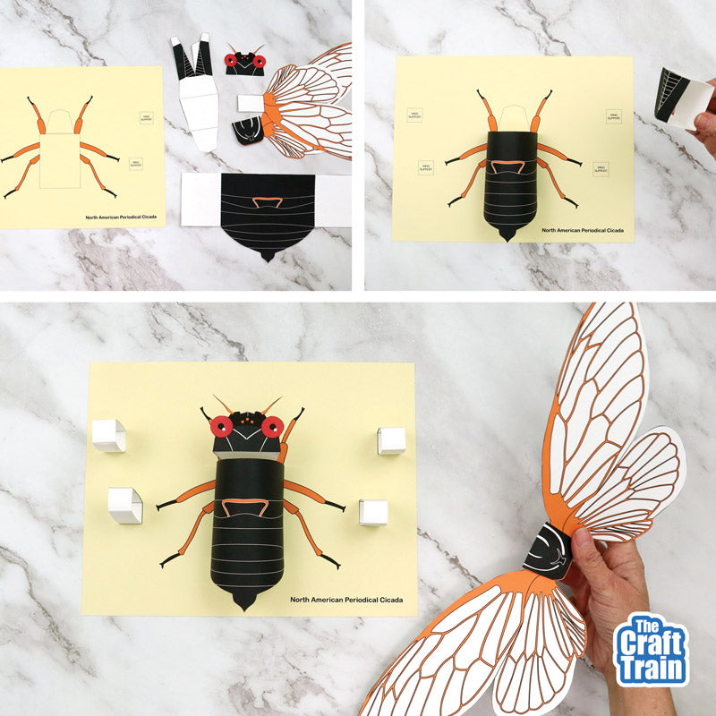 3D Paper Cicada