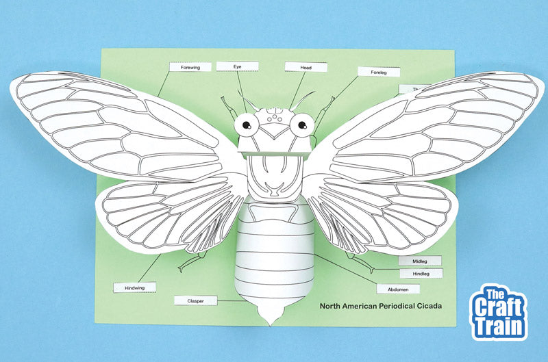 3D Paper Cicada