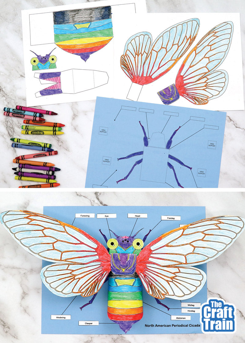 3D Paper Cicada