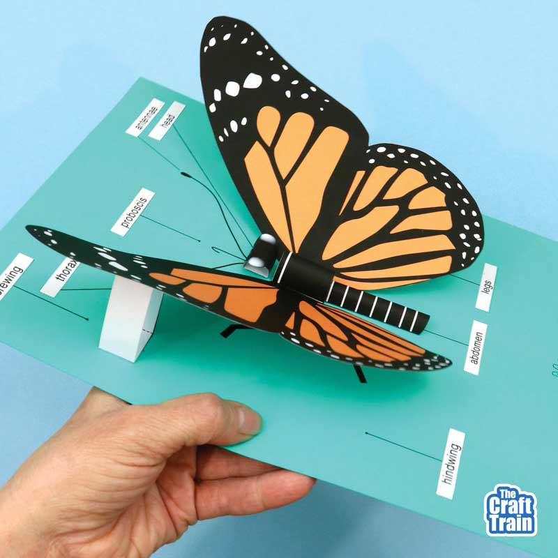 3D Monarch Butterfly craft