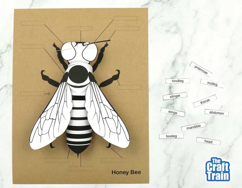 3D paper bee
