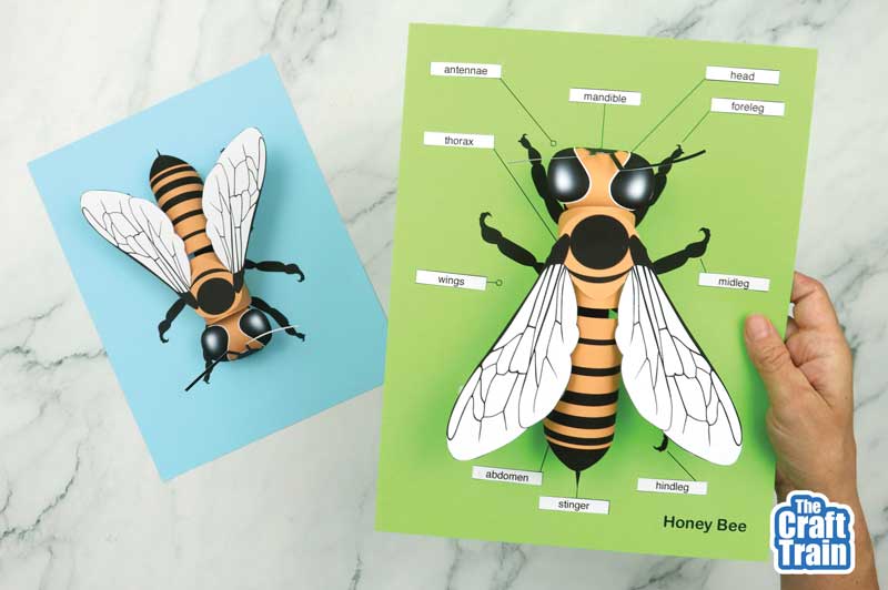 3D paper bee