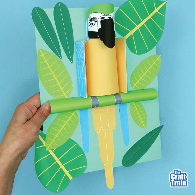 3D Macaw parrot craft