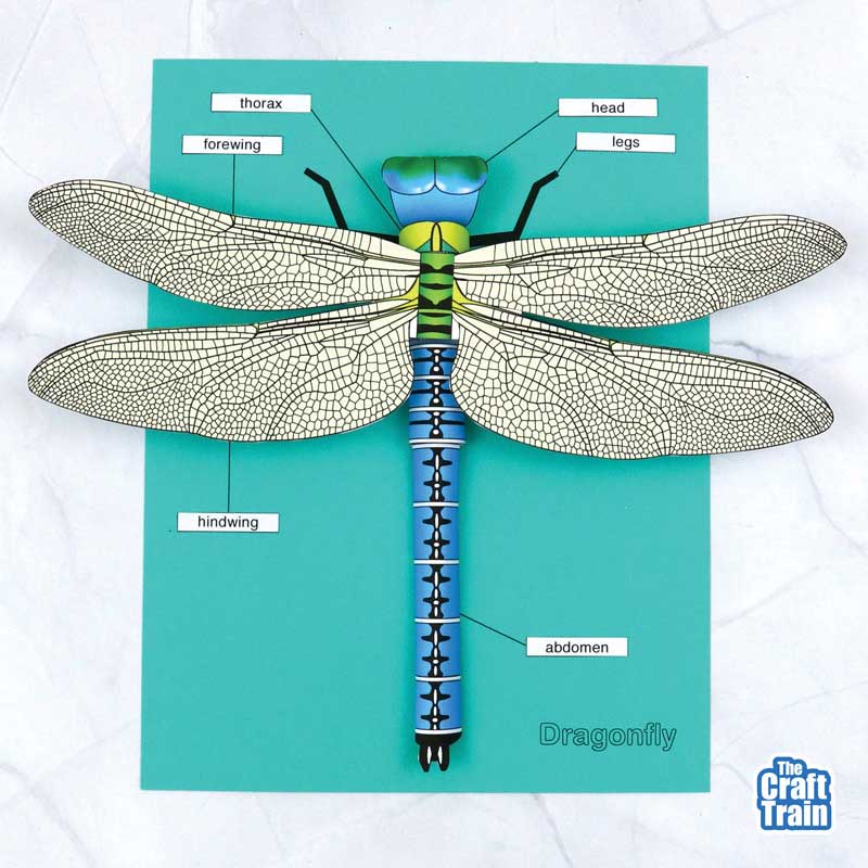 3D paper dragonfly