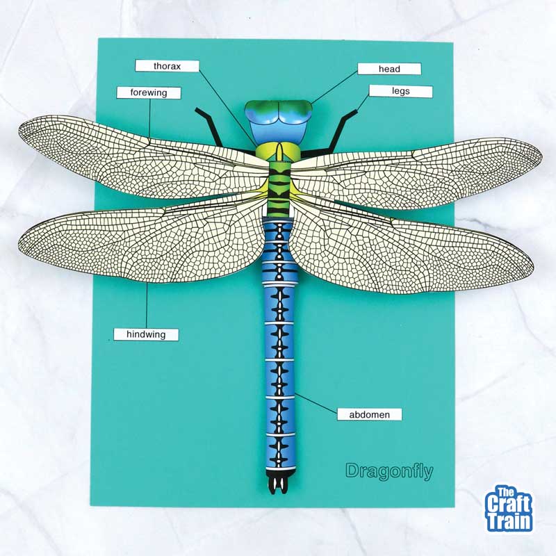 3D paper dragonfly