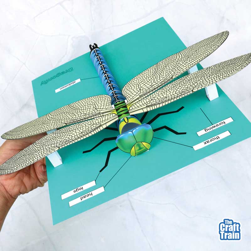 3D paper dragonfly