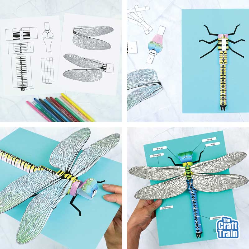 3D paper dragonfly