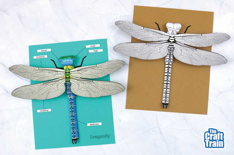 3D paper dragonfly